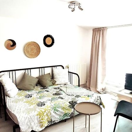 Studio Coquet Avec Vue Sainte-Foy-lès-Lyon Екстериор снимка