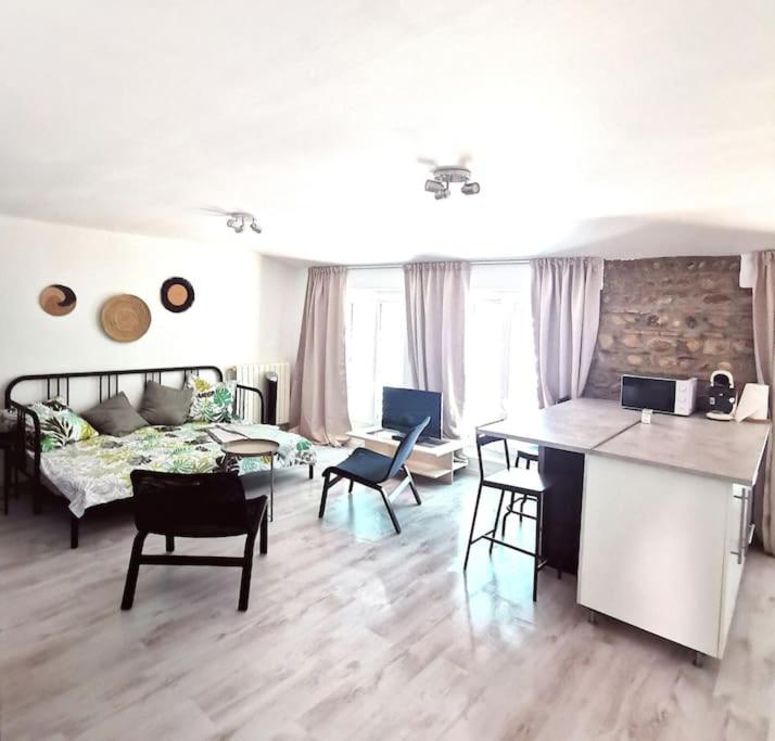 Studio Coquet Avec Vue Sainte-Foy-lès-Lyon Екстериор снимка